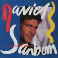 David Sanborn - Change Of Heart / Warner Bros.